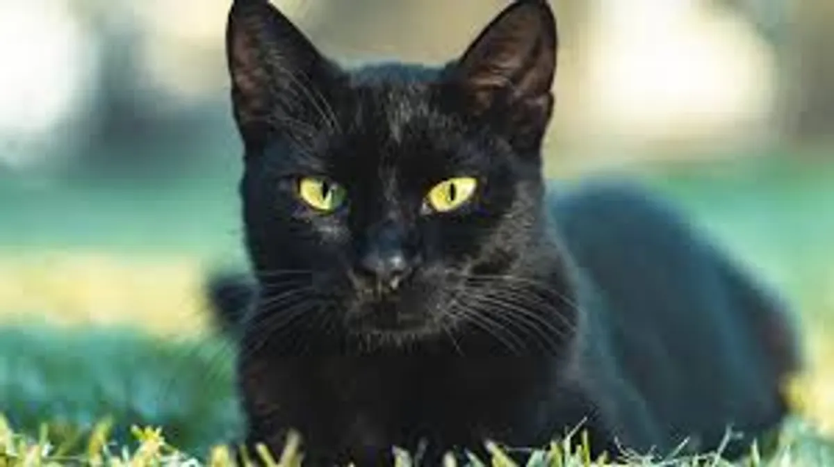 Supersticiones españolas curiosas y el que podría ser su origen